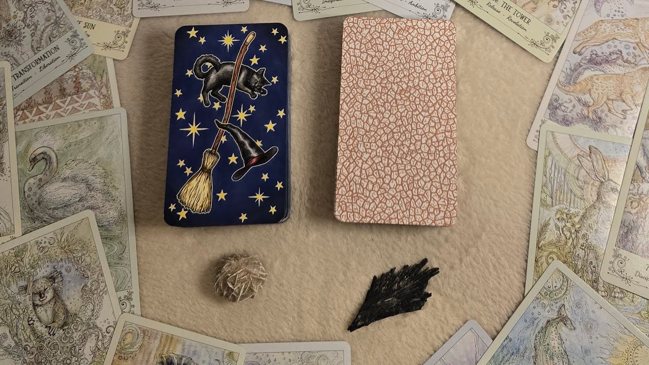 💫🦋ESTO ES LO QUE SIGNIFICAS PARA ESTA PERSONA🦋💫Tarot interactivo 