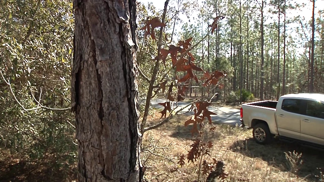 Lot 34 SE 105th Ln. Dunnellon, FL. 34431- Item - 699294