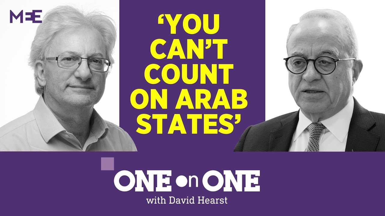 'You can't count on Arab states' | One on One with Jordan's former foreign minister Marwan Muasher