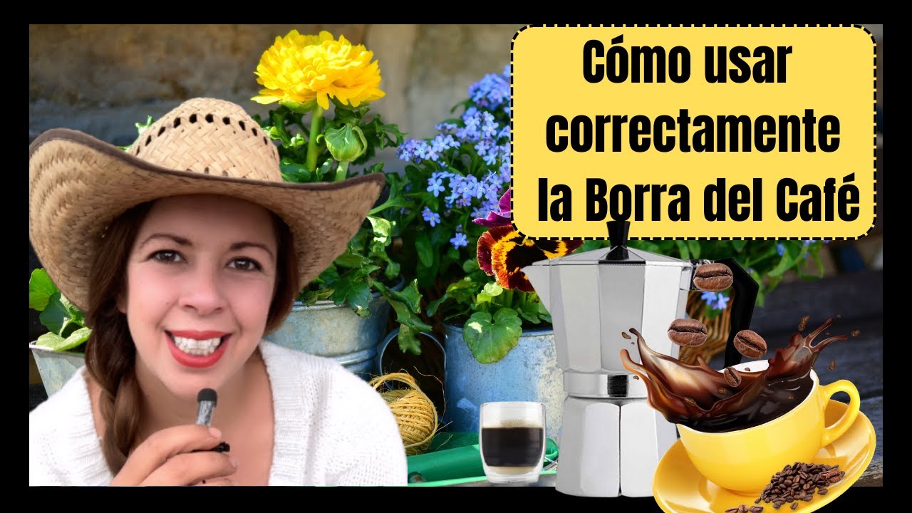 Cómo utilizar correctamente la borra del café para abonar Suculentas y otras plantas
