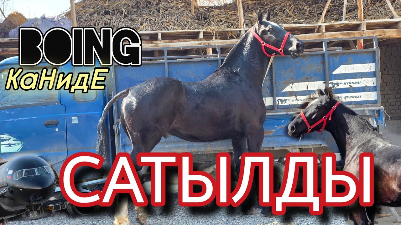 САТЫЛДЫ БОИНГ КАЗАХСТАНГА🇰🇿 