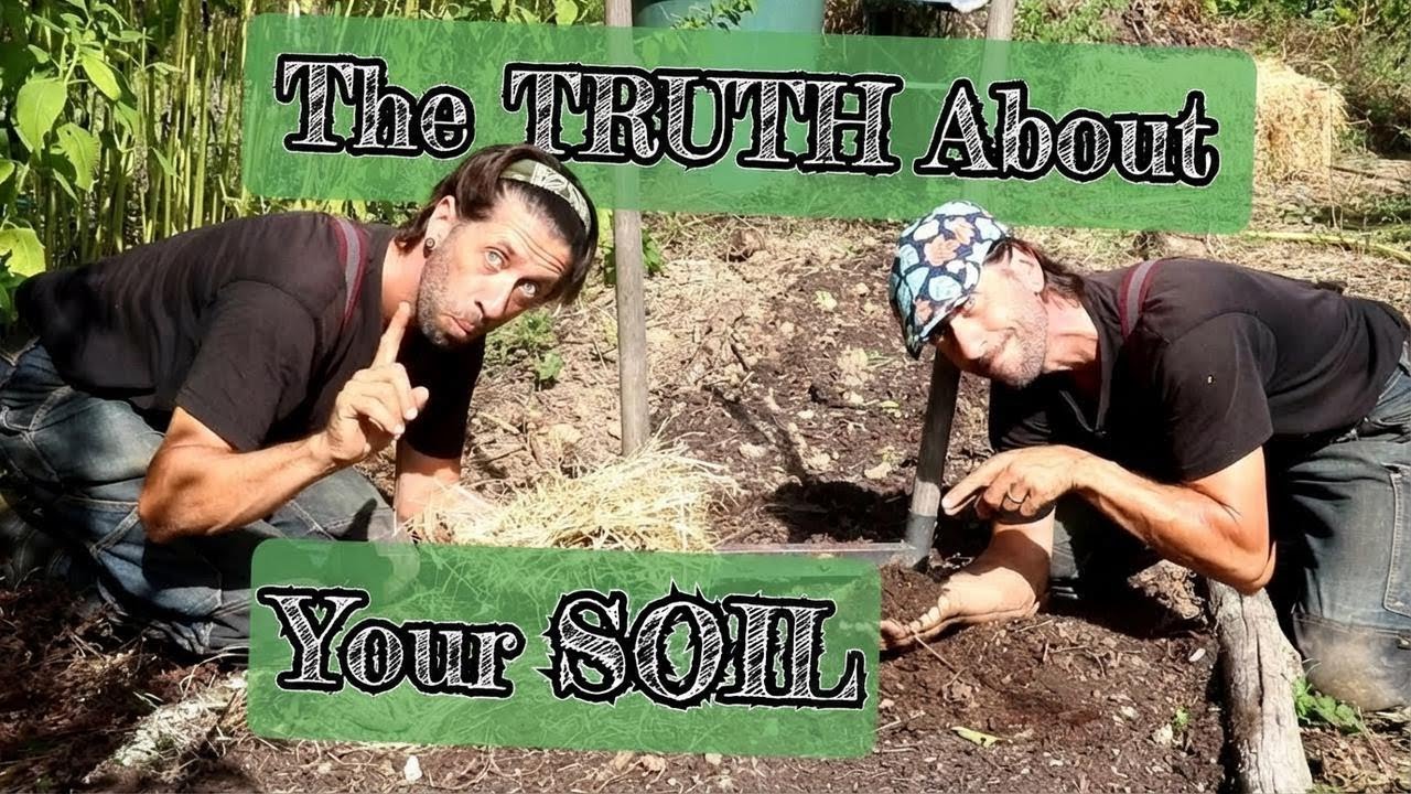 MSV, Permaculture, Syntropy... What No One Ever Tells You!