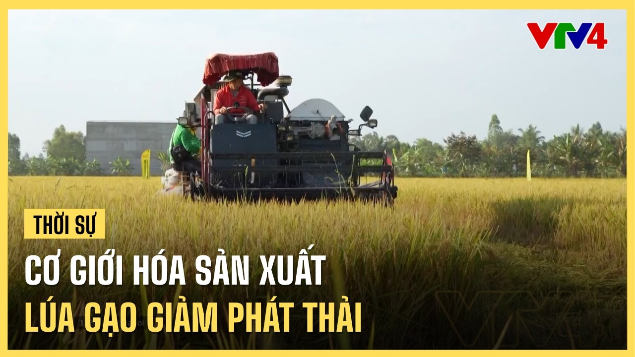 Cơ giới hóa sản xuất lúa gạo giảm phát thải | VTV4