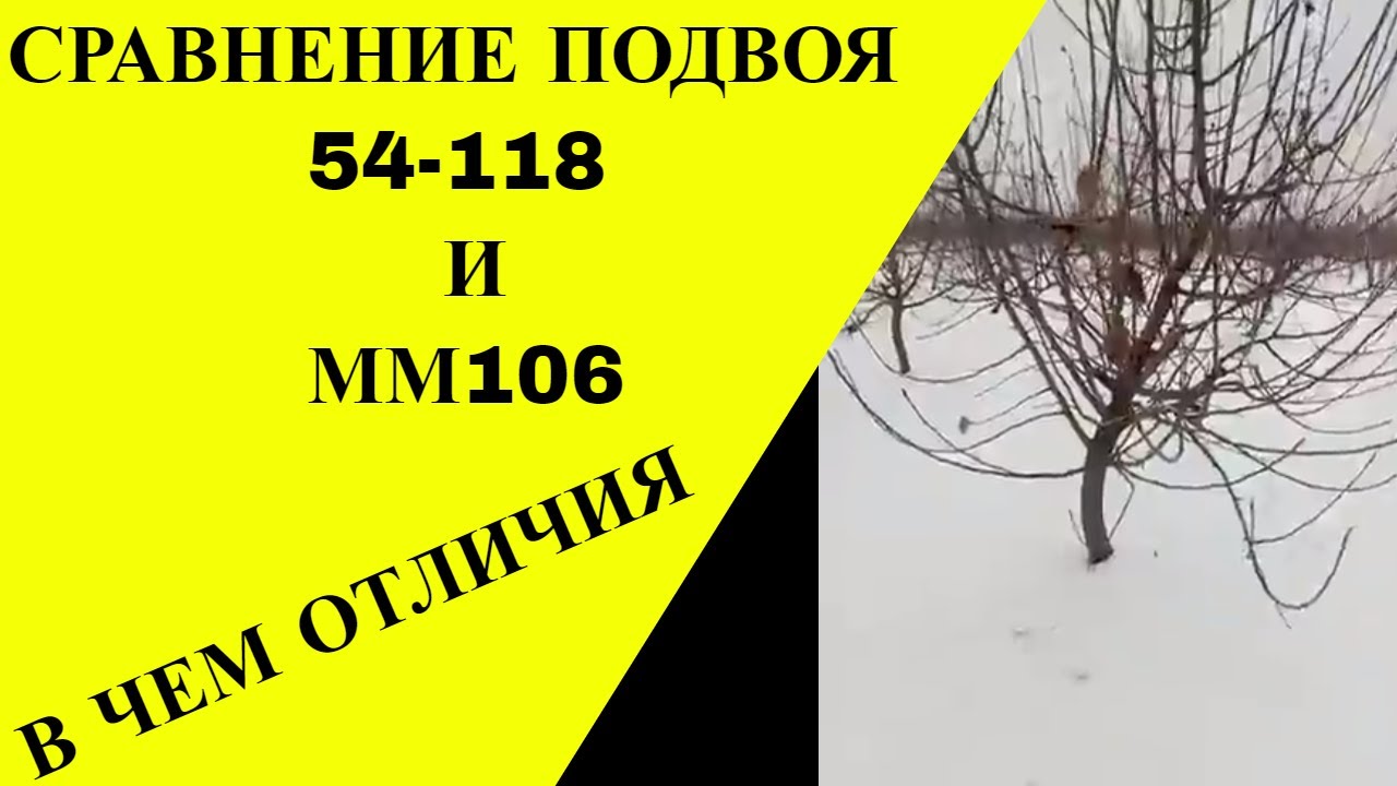 Подвой 54-118, сравненния с ММ106. Что лучше?