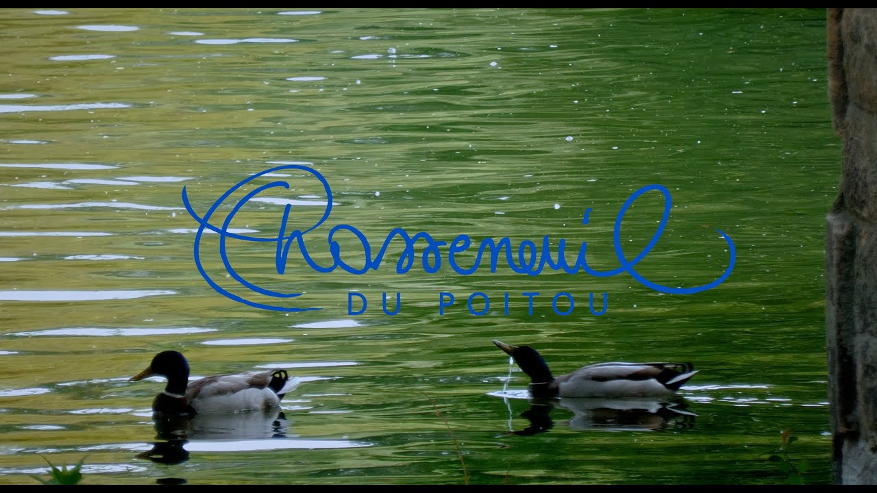 Chasseneuil du Poitou