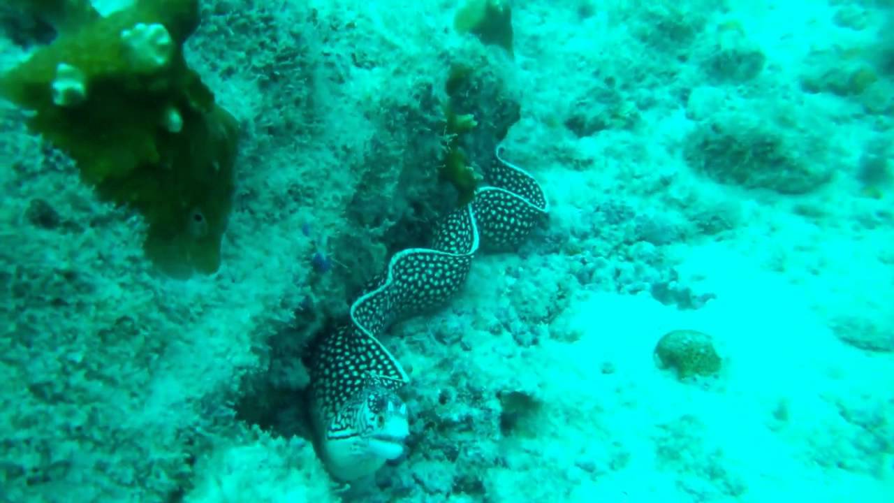 Boa Vista Cape Verde