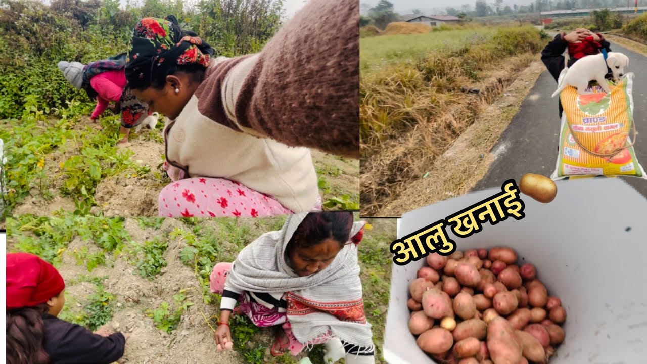 छेमा