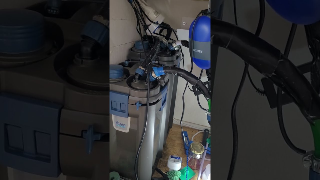 Oase Biomaster 850 geht nicht / Luft im Filter / Filter läuft nicht / Filter zieht Luft