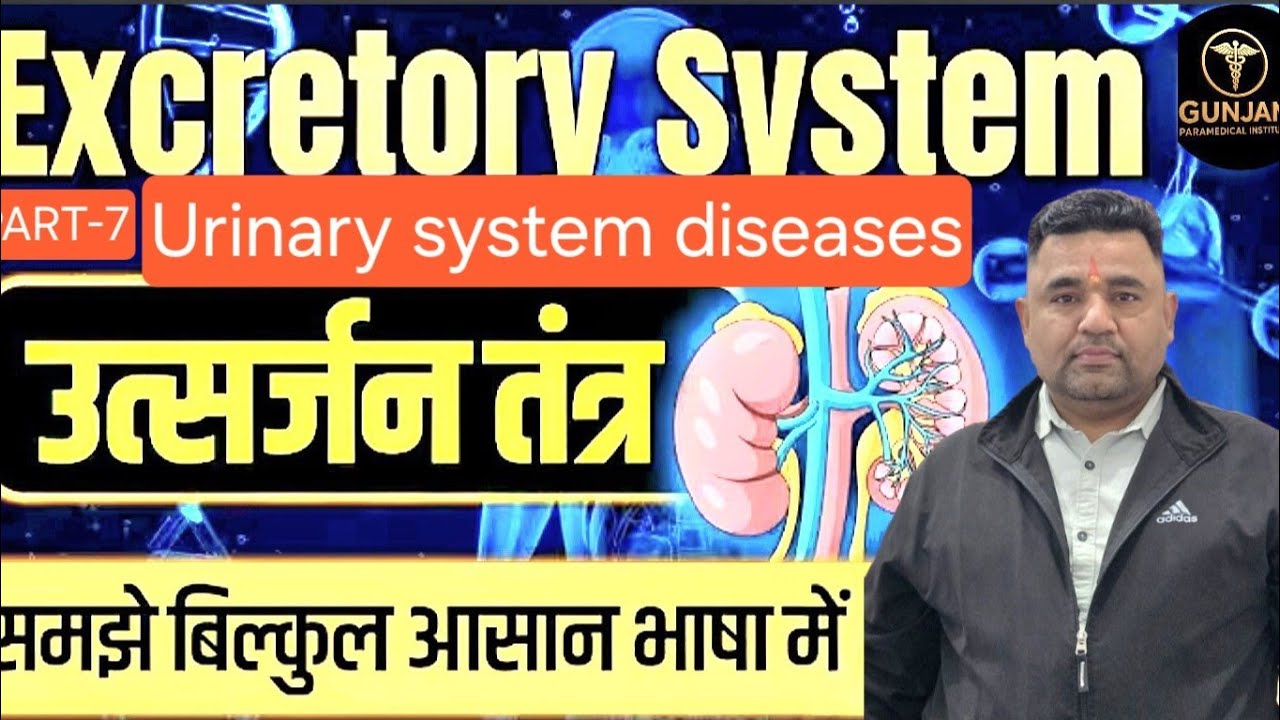 Excretory System Part -7 [Urinary System Diseases]