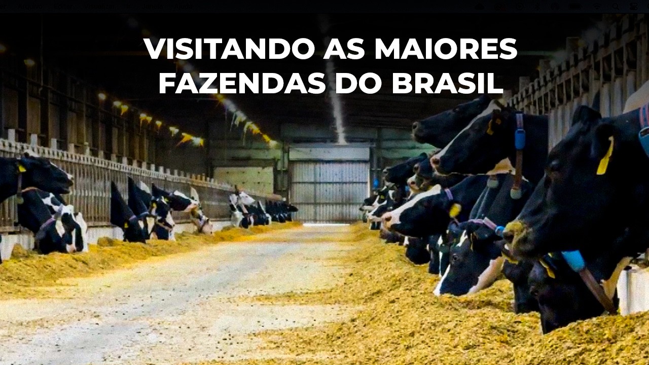 150 MIL LITROS DE LEITE POR DIA EM 4 FAZENDAS VEJA O QUE APRENDEMOS NESSA VISITA TÉCNICA