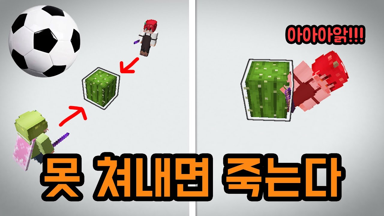 선인장으로 축구