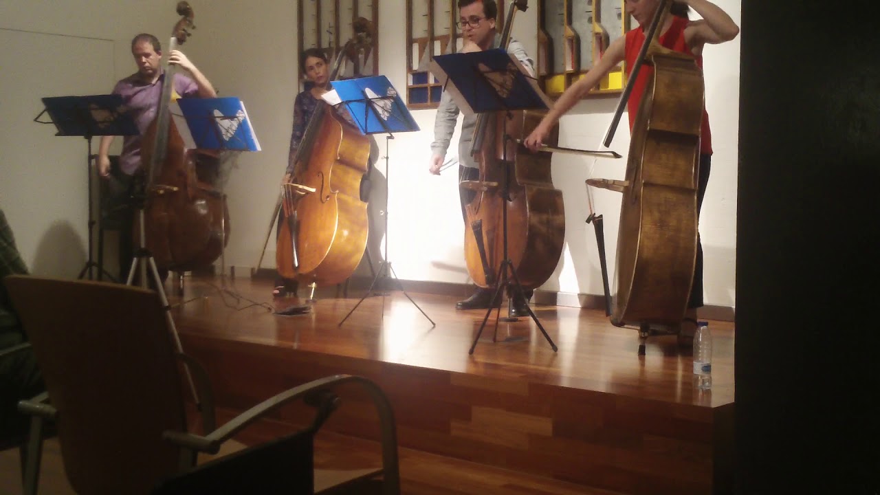 GeneBass Double Bass Quartet plays “The Pink Panther” Music in arrangement of David Johnstone