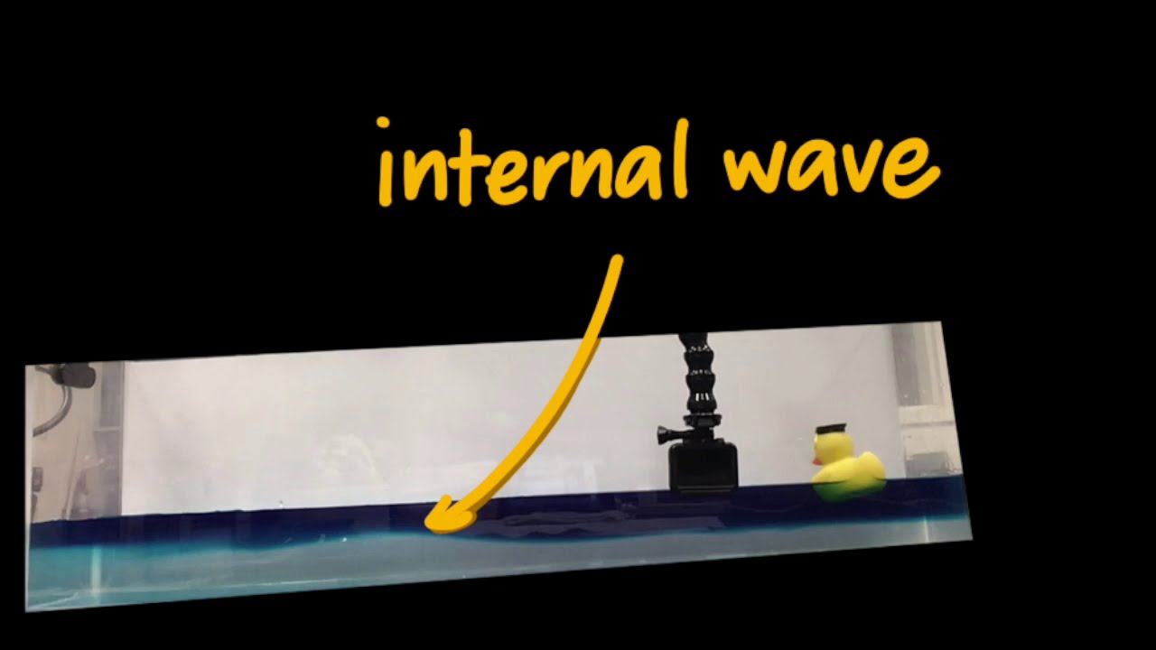 Internal Waves Experiment