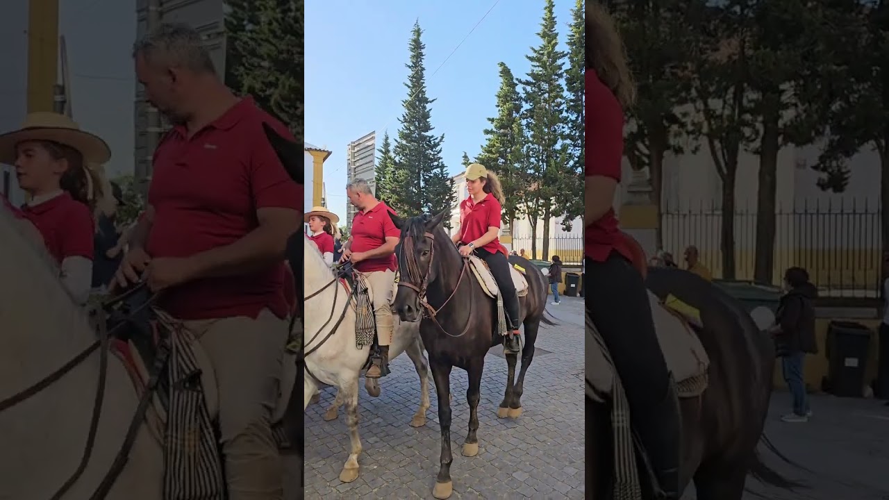 Romaria a cavalo 2025