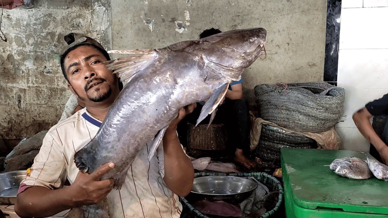 NEW- LANDHI FISH MARKET- MACHLI BAZAAR  - BANGALI PARA KARACHI
