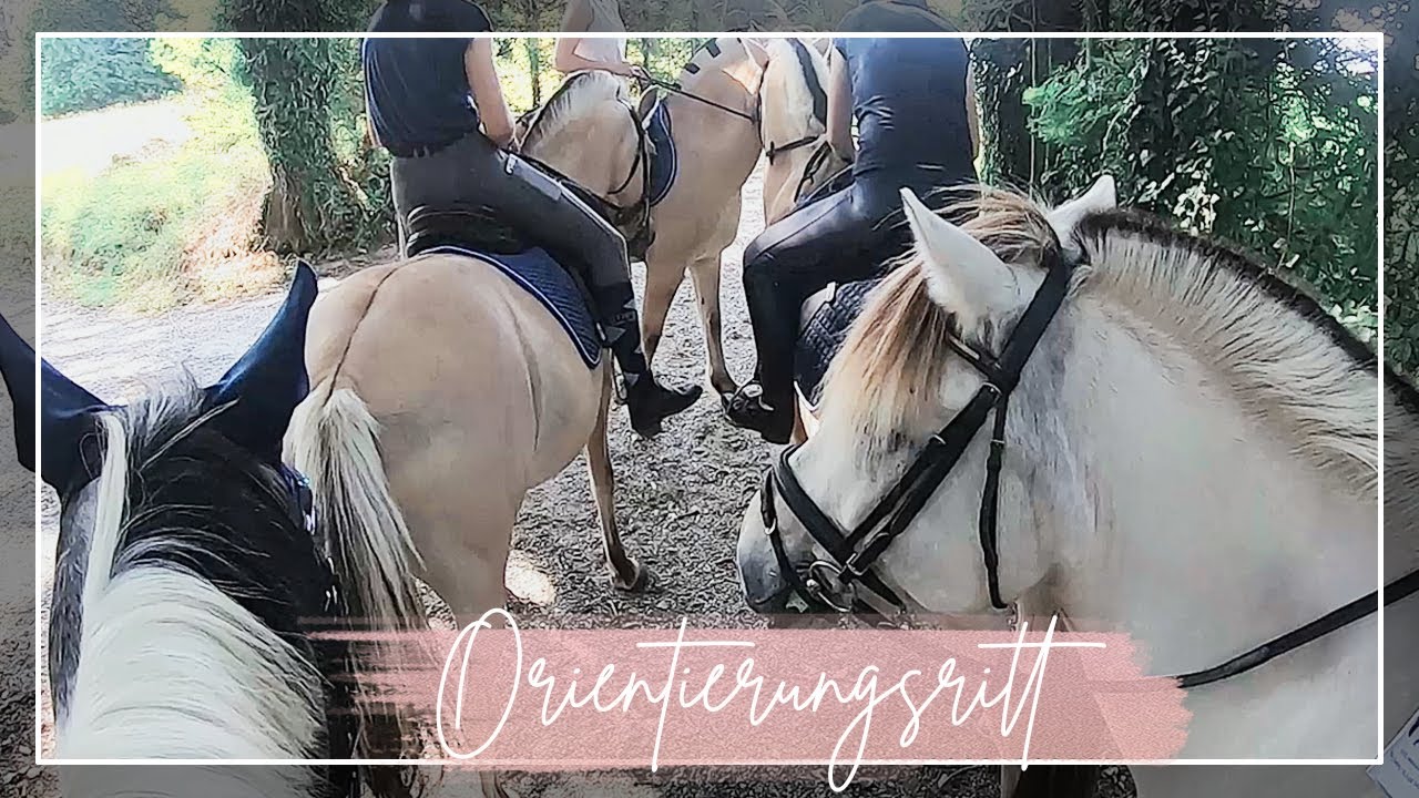 Orientierungsritt 2019 🗺 | Rätsel | Bildersuche | Reiten nach Karte // A&G HorseDiary