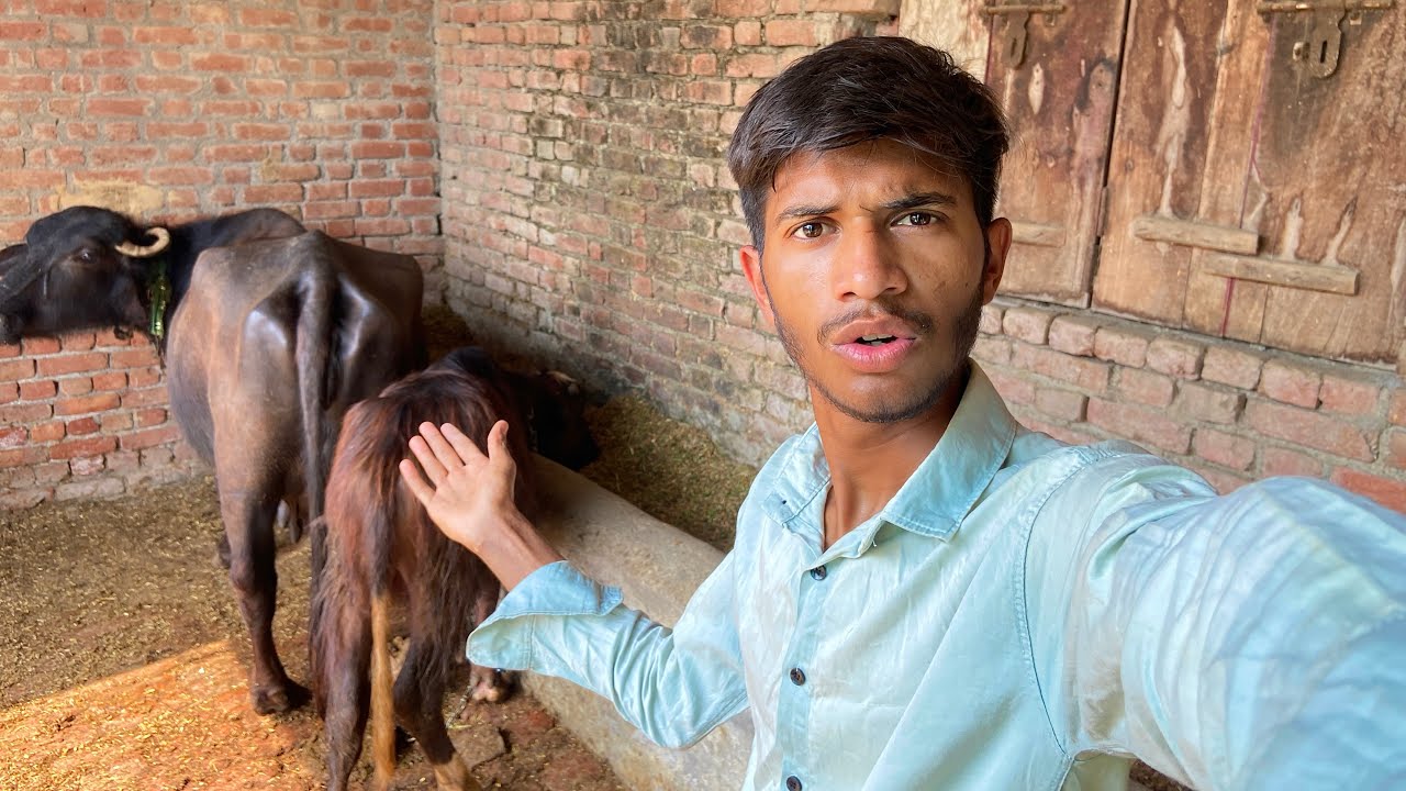 Aaj hamari dadi ne 2 Pasu bech diye 😲