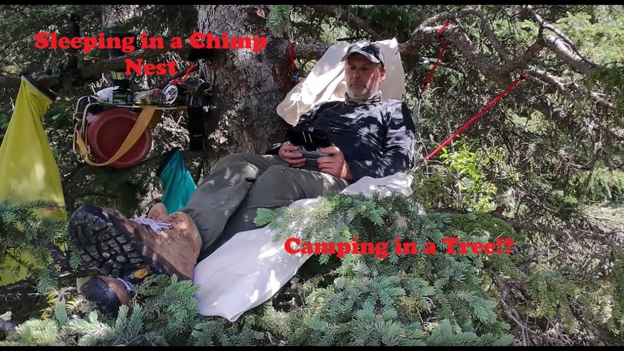 E4 Chimp Nest - Sleeping In A Tree - Part 1 #camping #wildlife #outdoors