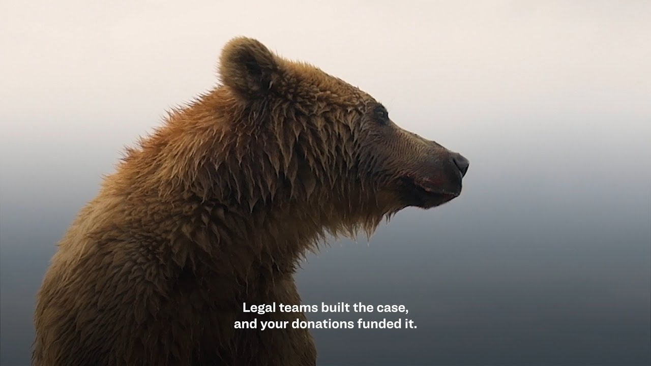 The power of the Sierra Club in action