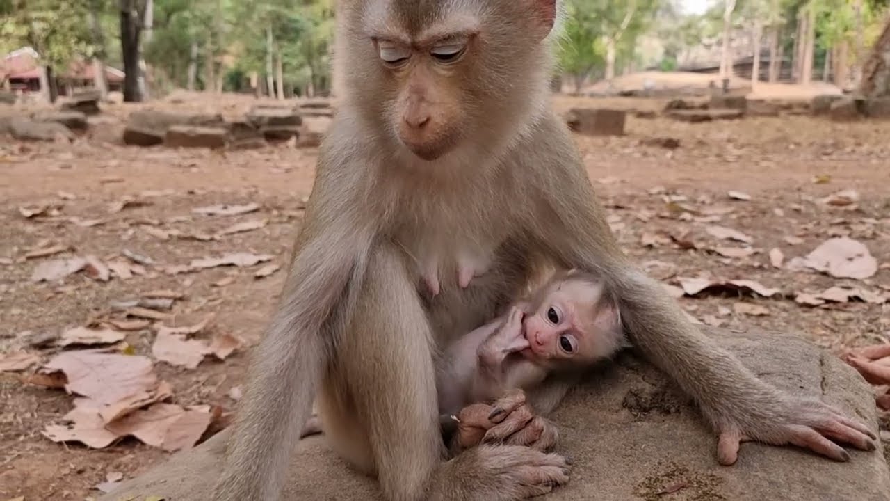 Blind Young Mom LILA The Best Take Care Her Newborn LILO 