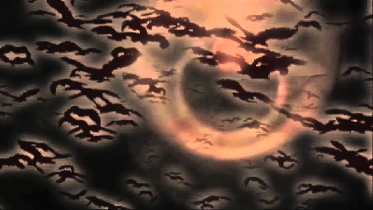 NATAS - FUQUERRBDY - OFFICIAL VIDEO