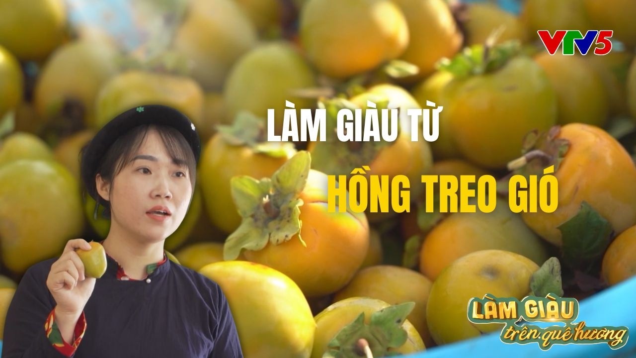 Chuyện làm giàu của cô gái Nùng | LÀM GIÀU TRÊN QUÊ HƯƠNG | VTV5