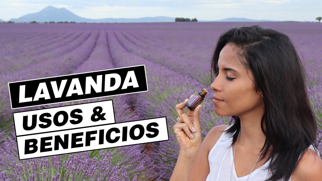 Aceite esencial de Lavanda -  Para que sirve