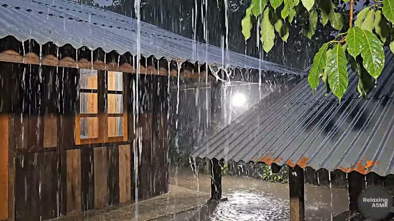 Rain Sounds ASMR - Heavy Rain 1 hour