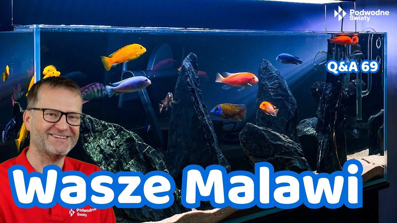 Q&A 69. Wasze Malawi