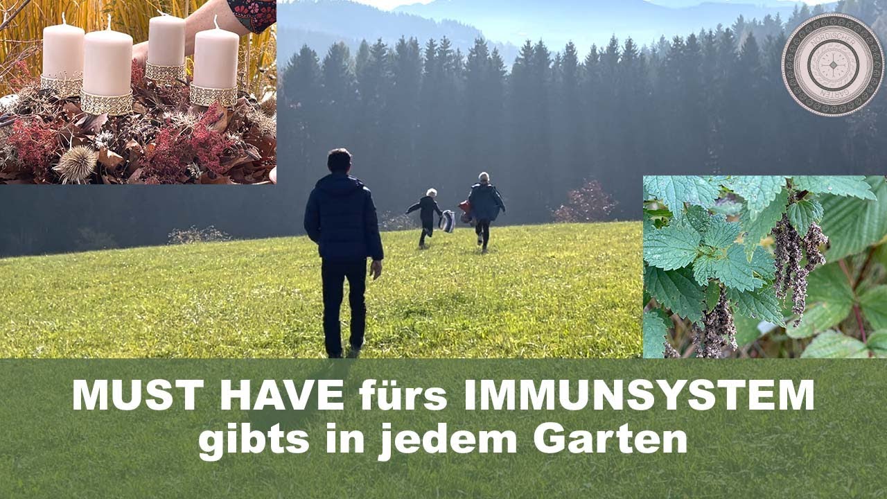 Immunsystemstärkende Pflanzen sind in jedem Garten, Adventkranz selber machen, essbare Wildkräuter