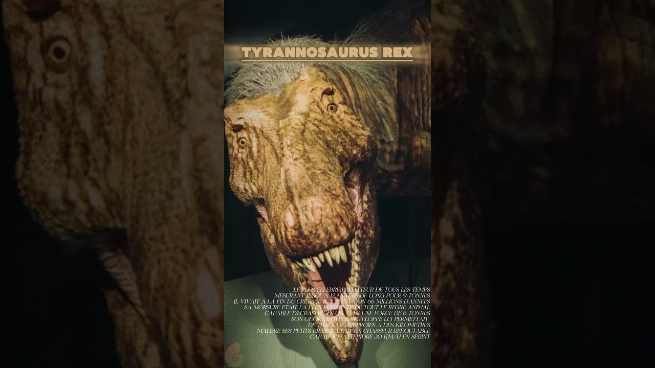 Les v&eacute;ritables sons des dinosaures ! (Ce que vous n'avez jamais entendu)#dinosaur #fossilesvirtuels