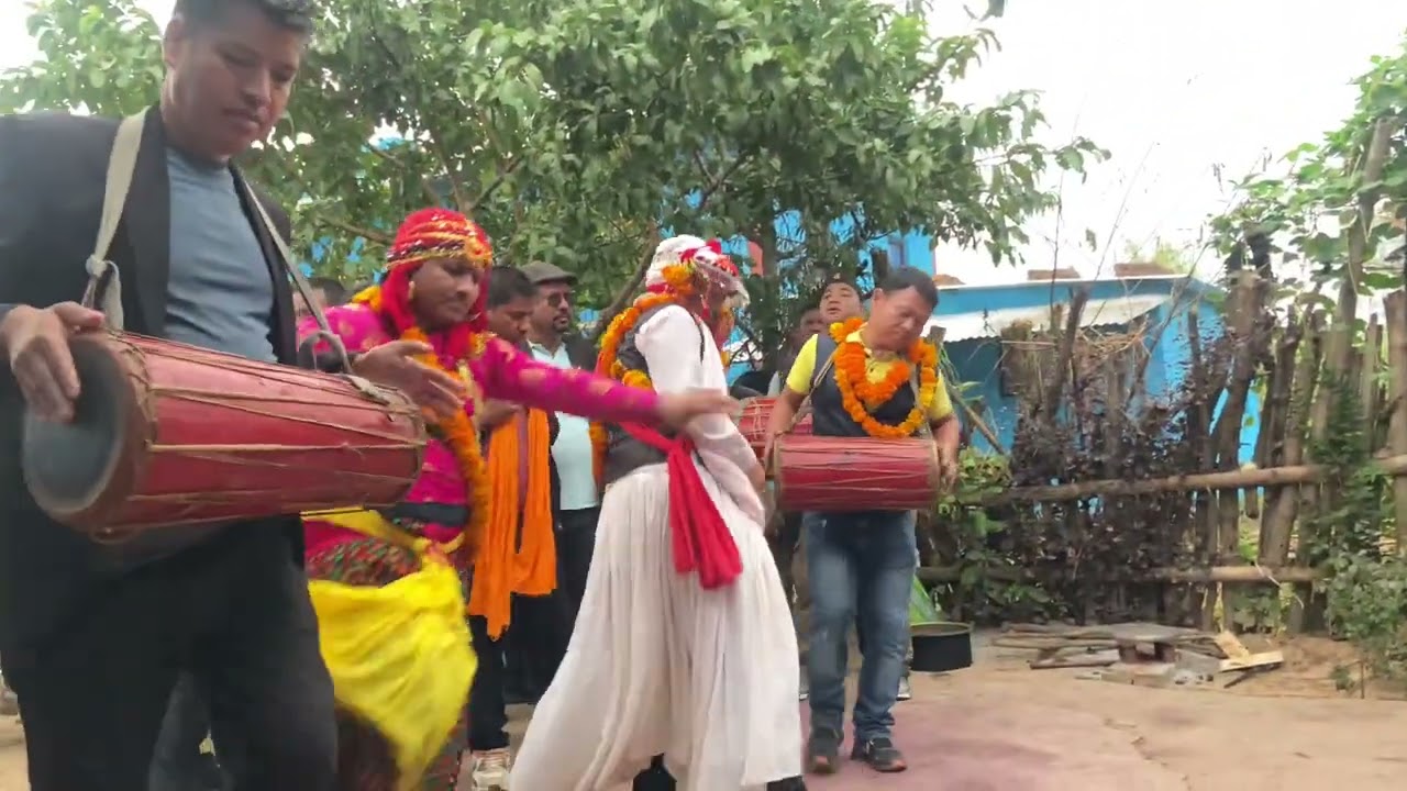 Bhailo nachh 2081 happy tihar  Bimal Acharya ❤️