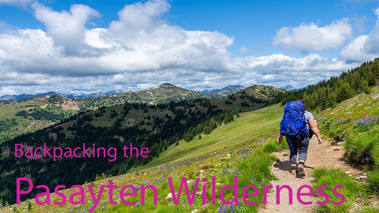 Backpacking the Pasayten Wilderness : Harts Pass, PCT, Windy Pass & Rock Pass Meadows