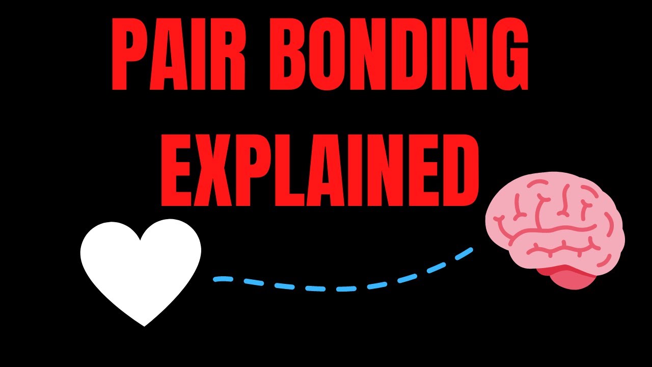 What is pair bonding & does her sexual past matter | Relearning Relationships