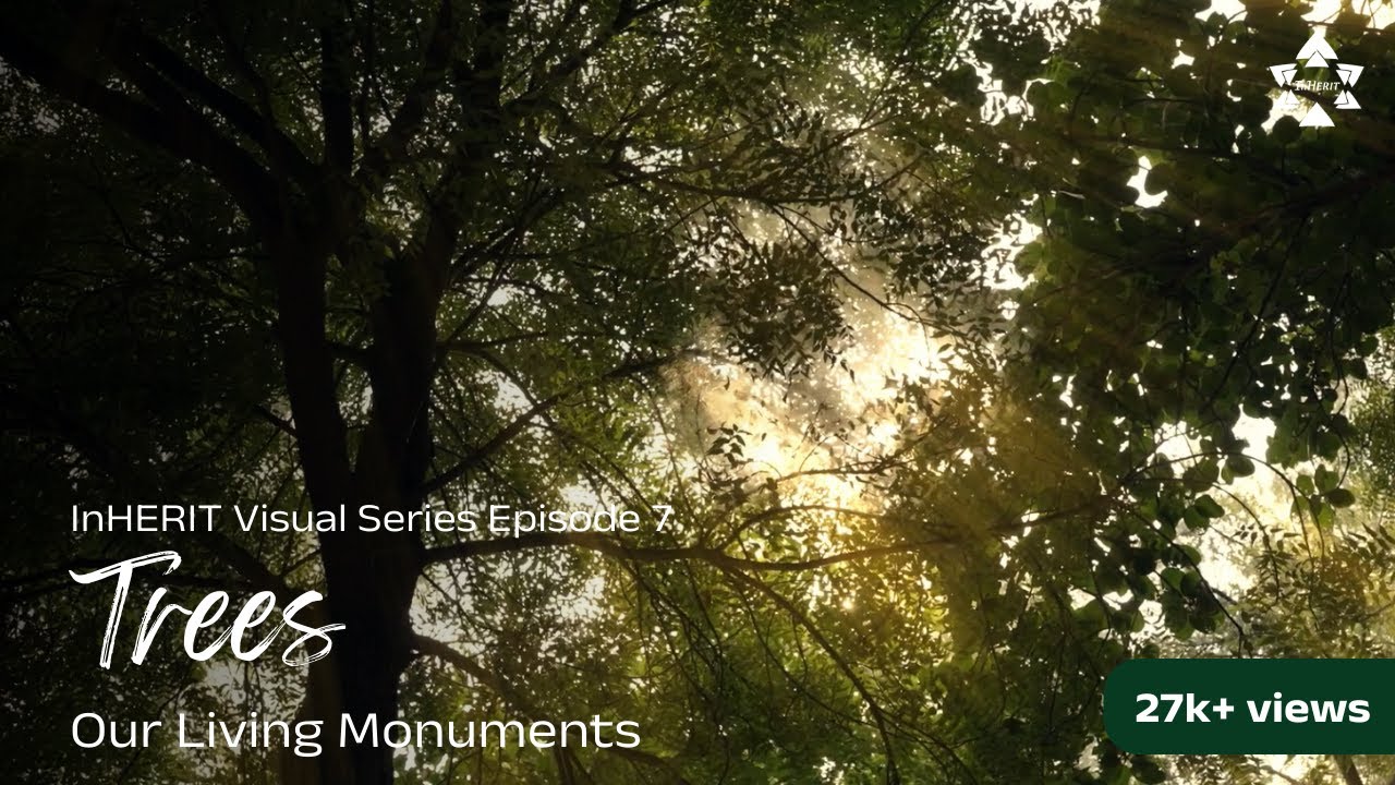Trees: Our Living Monuments | Visual Series | Episode 7 | Full Episode