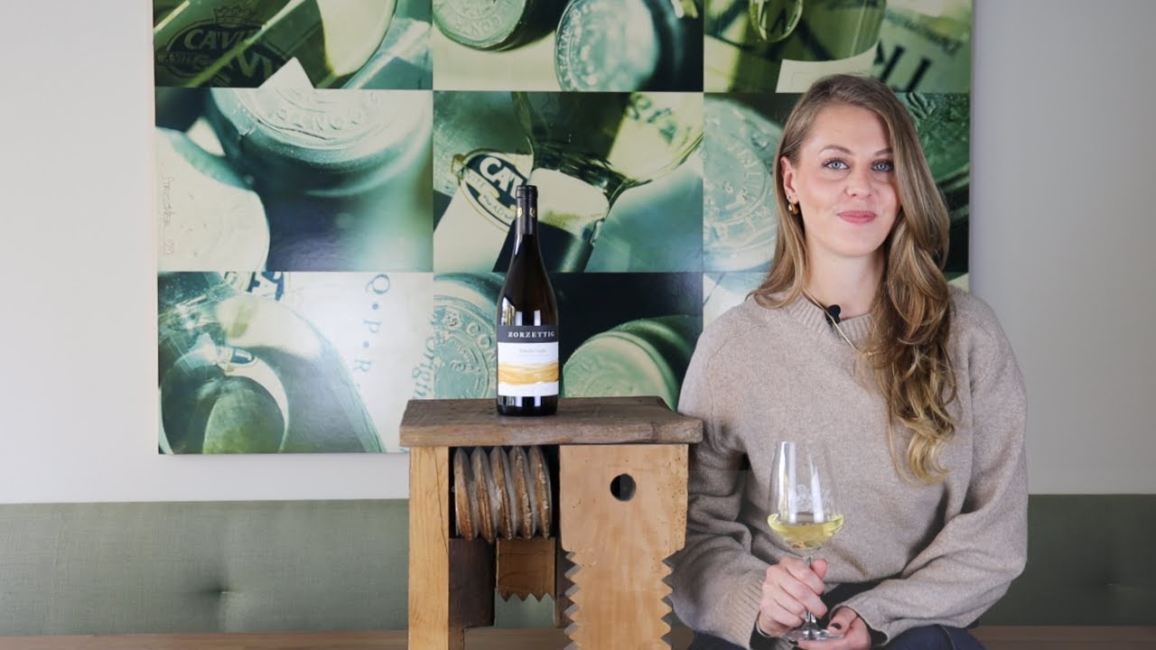 Wein erklärt: Ribolla Gialla Venezia Giulia IGT Zorzettig Friaul Italien Weißwein trocken