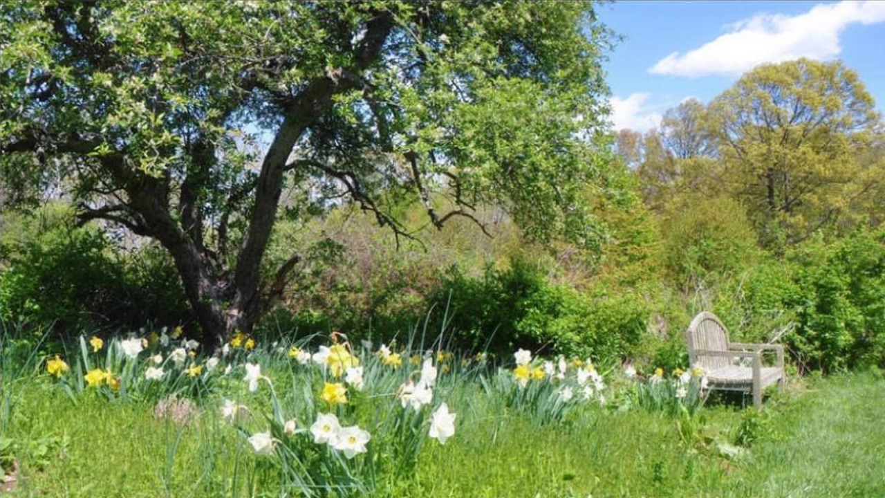 a quiet playlist for romanticizing a quiet life in the countryside 🌱 (study / read / write)