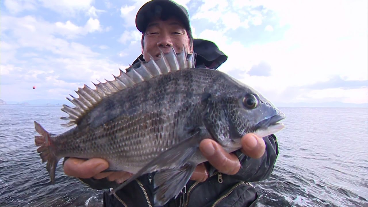 【釣り百景】#173 厳寒期の寒チヌ攻略！チヌ釣り名手と生物学者が周防大島の磯で競演