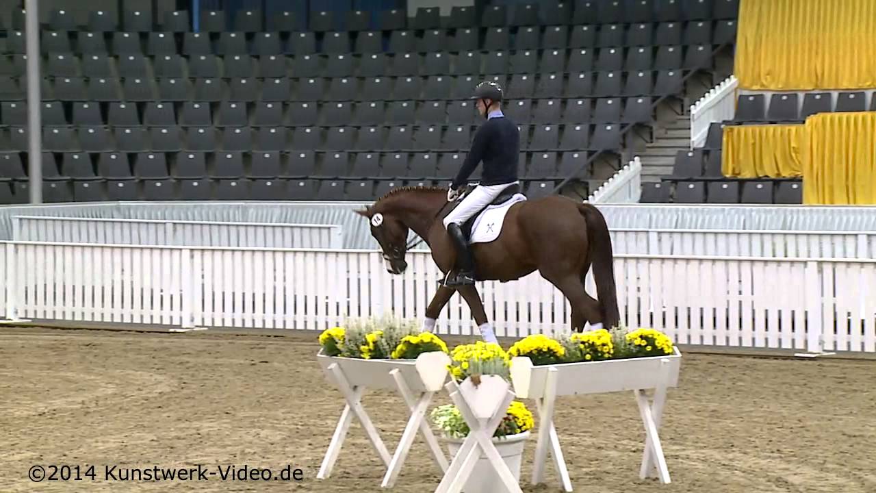 131. Elite-Auktion - Training der Auktionspferde mit Wolfram Wittig