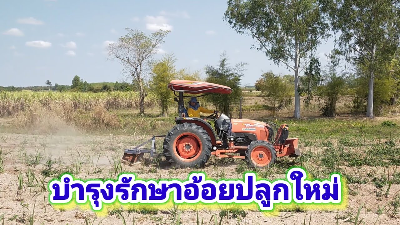บำรุงรักษาอ้อยปลูกใหม่ EP 51/69