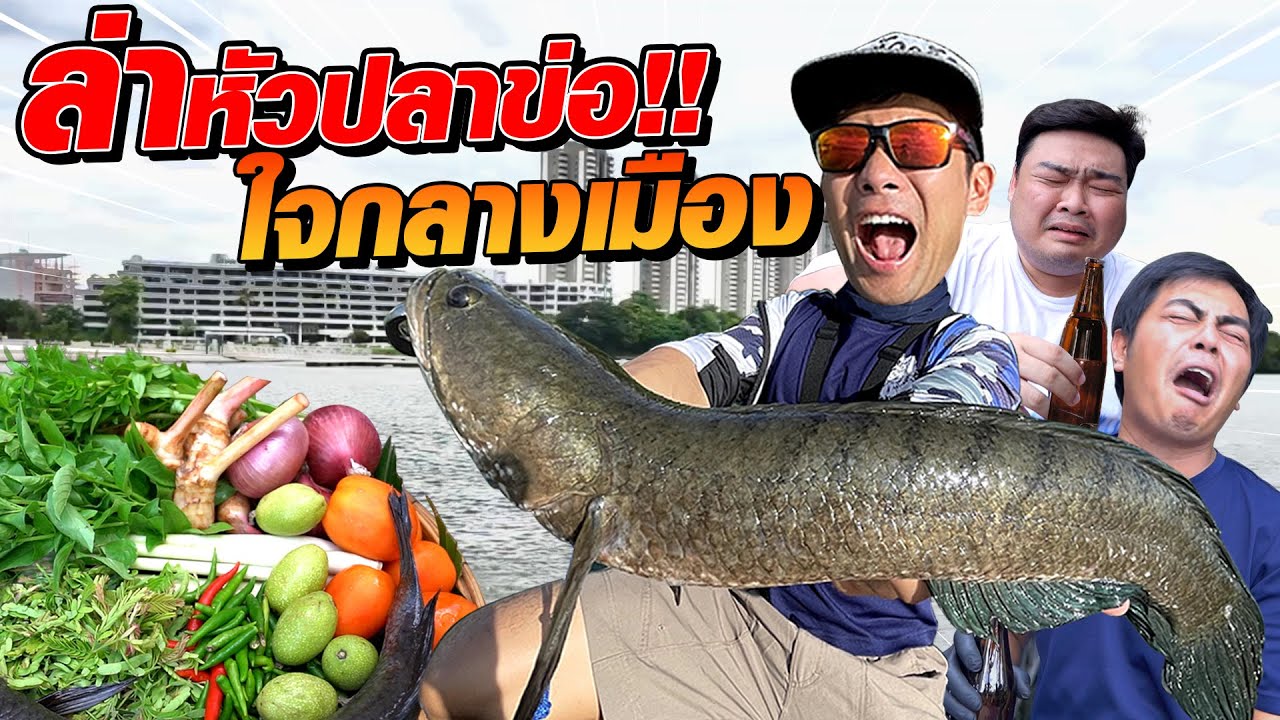 ล่าหัวปลาข่อมาต้มส้มสไตล์อีสาน!! [คนหลงรส EP.135]