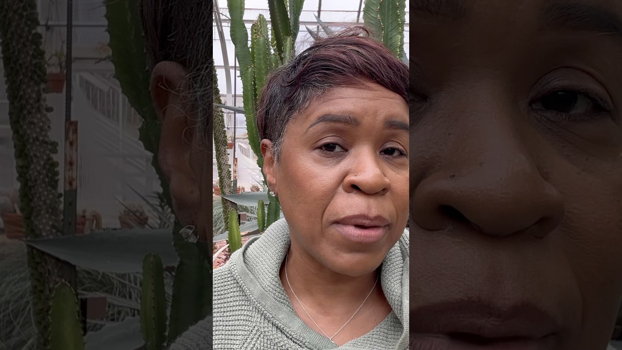 Why I Left the U.S. & My Top 5 Countries