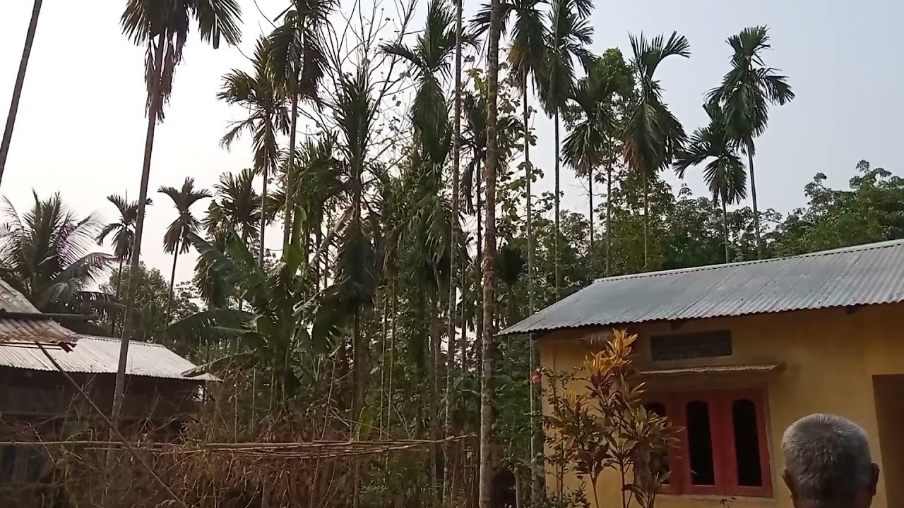 Just Now Earthquake In Assam Here | Solo Survivor