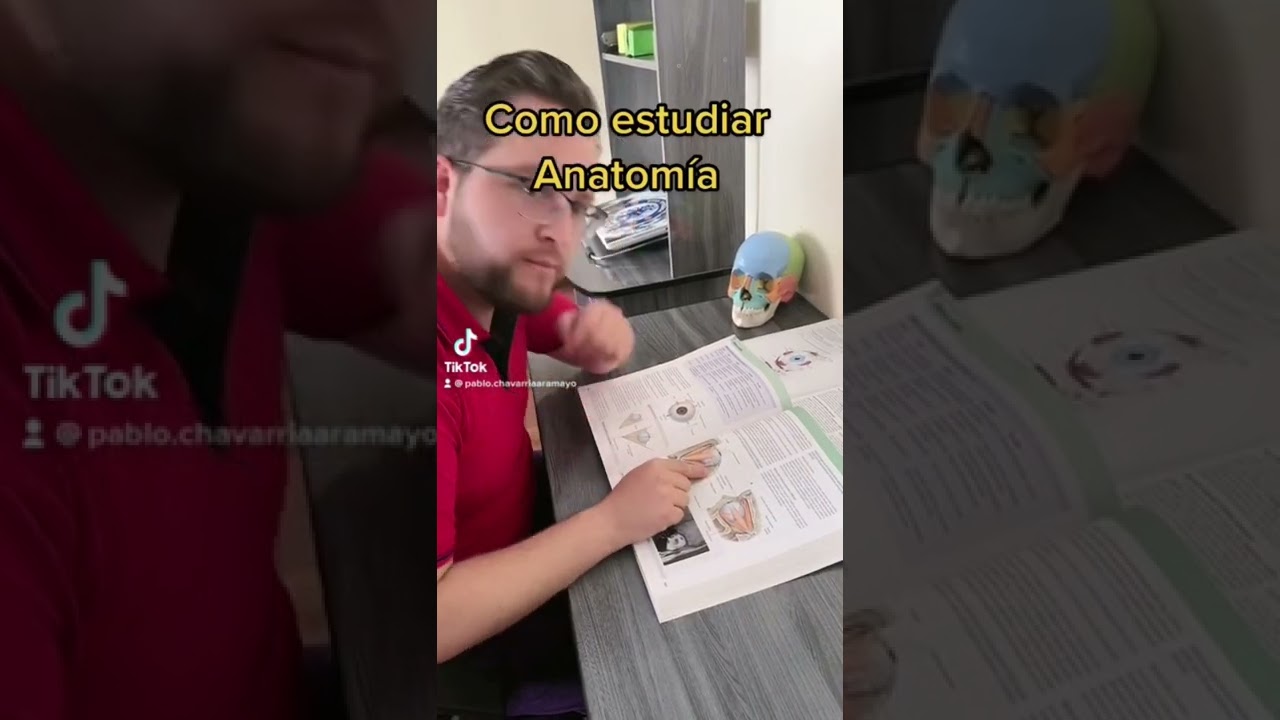 Como estudiar Anatom&iacute;a