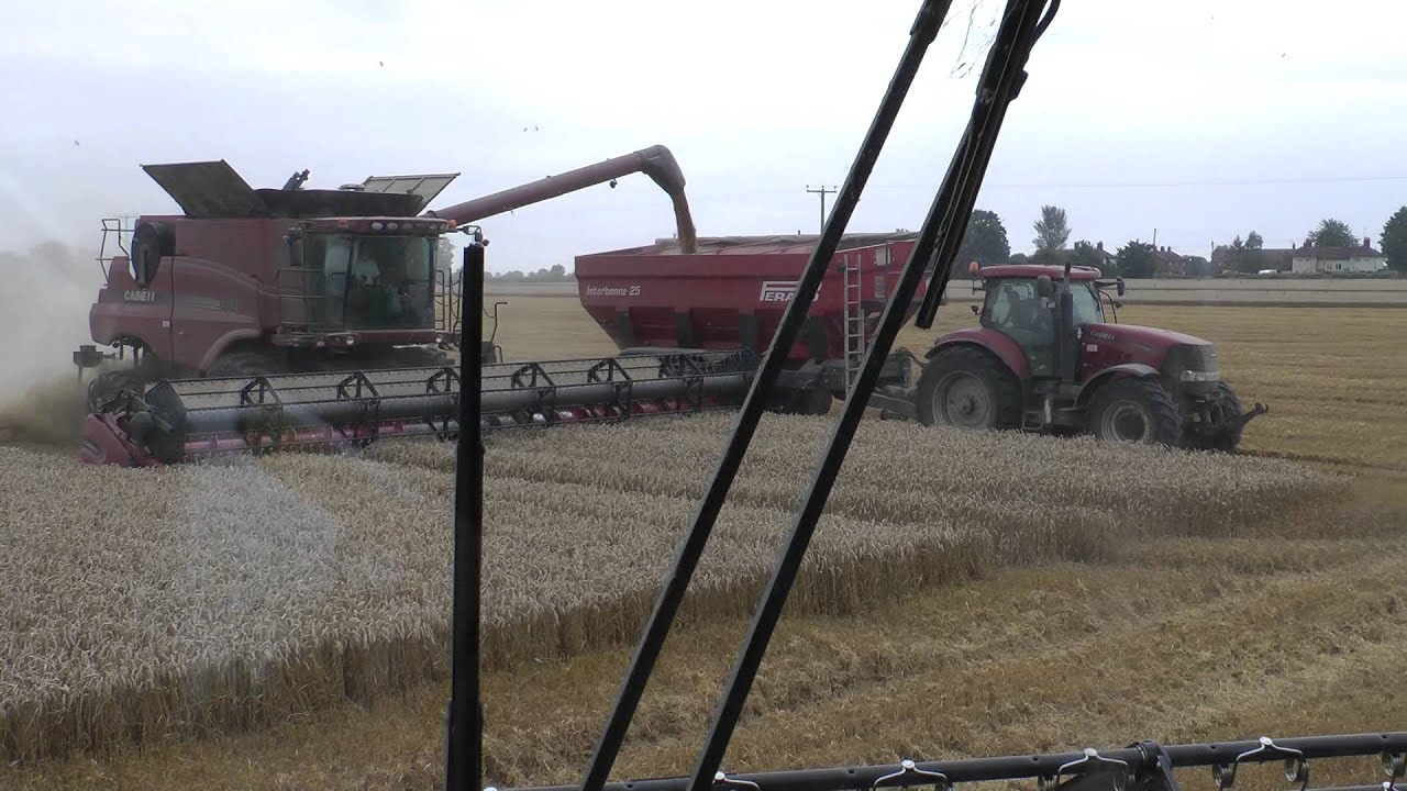 CASE IH 9230 35 FOOT HEADER ON TRACKS DOES DEMONSTRATOR WORKING WITH 9120 AT TANNINGTON SUFFOLK U.K.