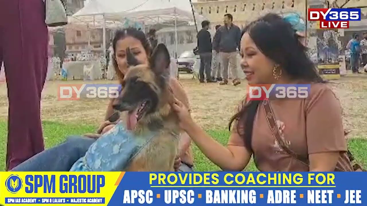 ডিব্ৰুগড়ৰ এজাক কুকুৰে দৃষ্টি কাঢ়িছে প্ৰতিজনৰ