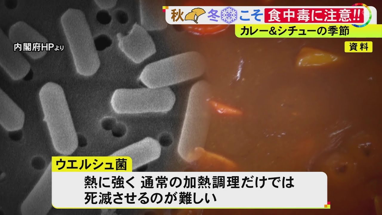 常温で放置のカレーは「大好きな温度」&ldquo;ウエルシュ菌&rdquo;による食中毒に注意 過去5年の平均患者数は秋にも増加