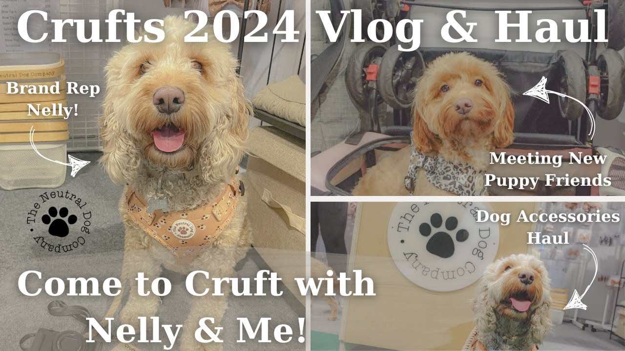 Crufts 2024 Vlog and Haul 🐾 Dog Show, Accessories and More 🐾 Come to Crufts with Me!