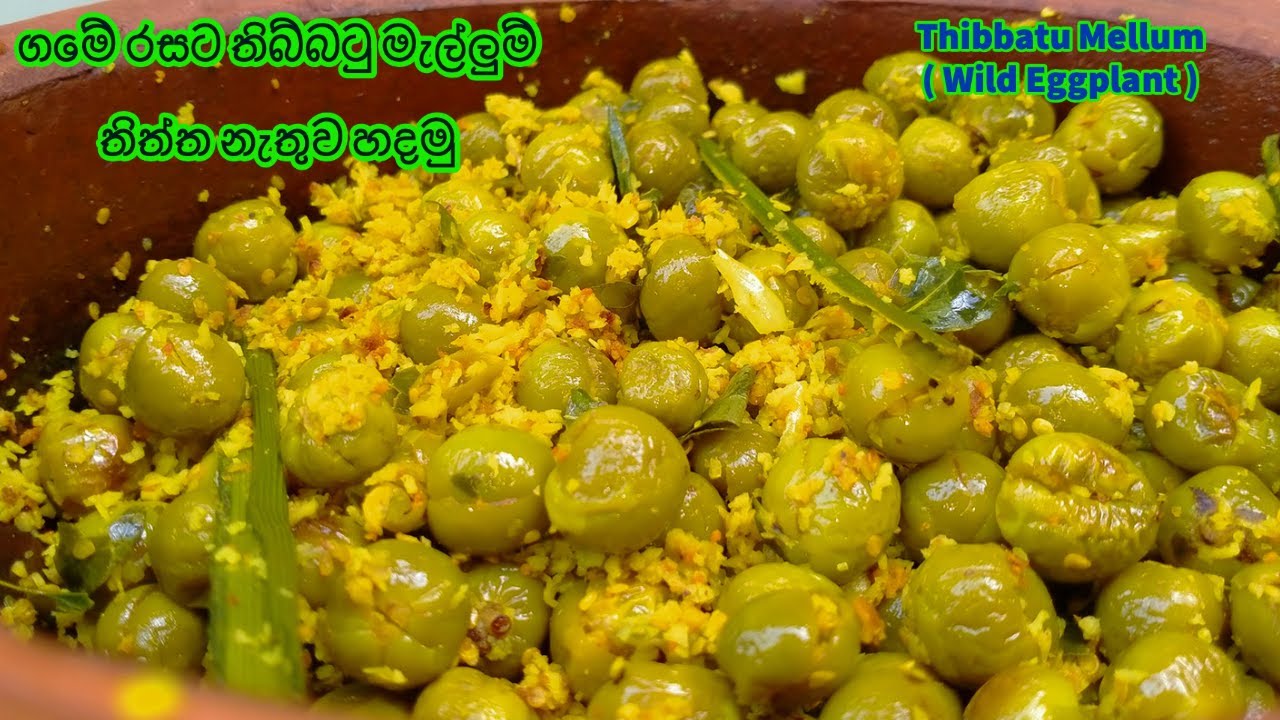 ගමේ රසට තිබ්බටු මැල්ලුම් තිත්ත නැතුව හදමු - Thibbatu Mellum ( Wild Eggplant )