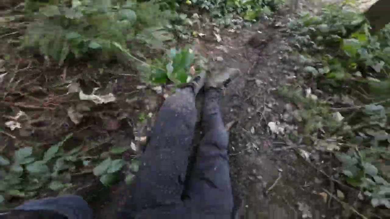 Exploring Yearsley Woods on the Hartail